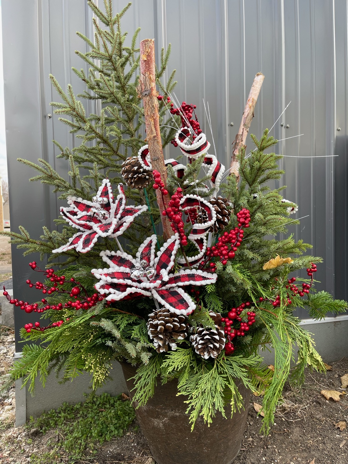 Potted Arrangement