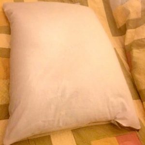 Small Buckwheat Pillow