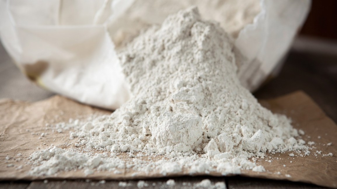 1 lb small bag Diatomaceous Earth